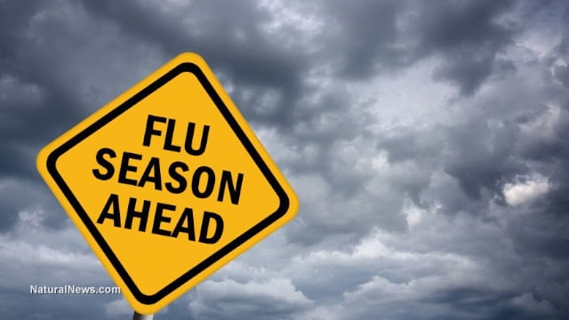 Cold and Flu Symptoms: Do you know the difference?